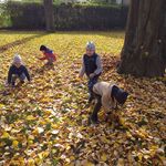 Dzieci zbierają jesienne liście.jpg