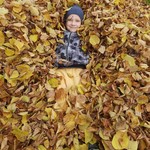 Chłopiec w stosie liści jesiennych.jpg
