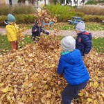 Dzieci bawią się w stosie liści.jpg