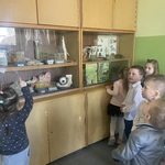 Przedszkolaki oglądają eksponaty w sali biologicznej.JPG