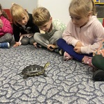 Dzieci patrzą na żółwia.JPG