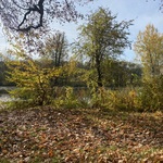 Park jesienią z widokiem na Łachę.JPG