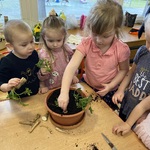 dzieci sadzą roślinki 7.JPG