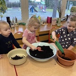 dziec sadzą roślinki.JPG
