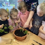 dzieci sadzą roślinki 6.JPG