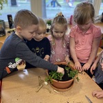 dzieci sadzą roślinki 12.JPG